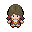 pokemon ranger over