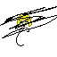 crazy boi boi
