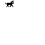 dog walking 1