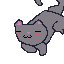 kitty cat