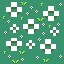 flowers_01