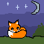 starry night