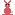 coniglio1