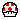 fungo1