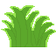 grass