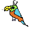 parrot geo