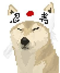 doge samurai