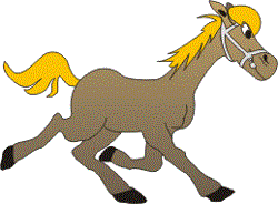 cavallo
