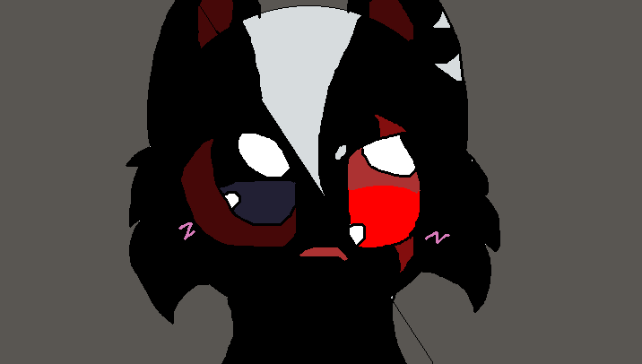 black cat