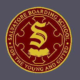 salvatore school