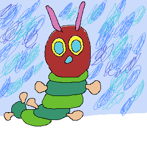 insect