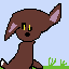 dog in grass
