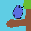 bird in tree