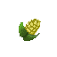 realism corn