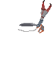 crab