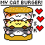 my cats