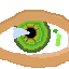 eyeball