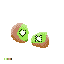 kiwi fixed
