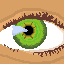 eyeball