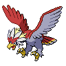 birb