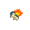 shadeless cyndaquil