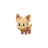 lineless lillipup