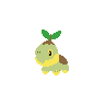 flat turtwig