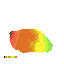 mango not shaded