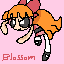 blossom