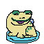 small frog zuma