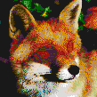 eyes dog fox no no eye