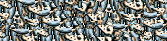zuma frog 666666666666666666666666666666666666666666666666666666666 xxxxxxxxxxxxxxxxxxxxxxxxxxxxxxxxxxx