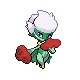 other flower