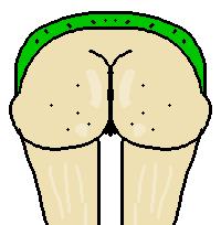 baldi ass booty foo