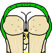 18 baldi aaaaaaaaaaaaaaaaaaaaaaaaaaaaaaaaaaahhhhhhhhhhhhhhhhhhhhhhhhhhh