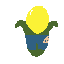 maiz
