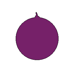 cebolla