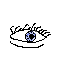 ojo1