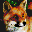foxy