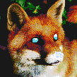 snow fox 24carrat