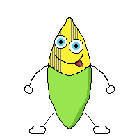 masorcaloca