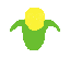 chuchi maiz
