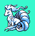 alola ninetales