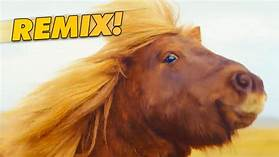 pony salvaje ahhh v