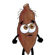 yucantonio