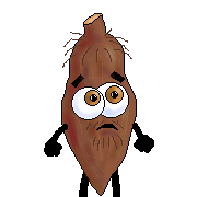 yucantonio finished