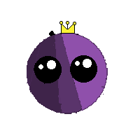 cebolla 2