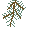 branch