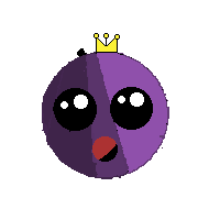 cebolla3