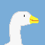 honk